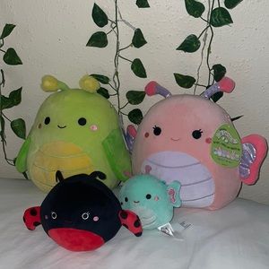 Insect squishmallows
